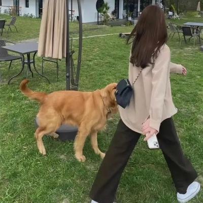 死亡真面目6